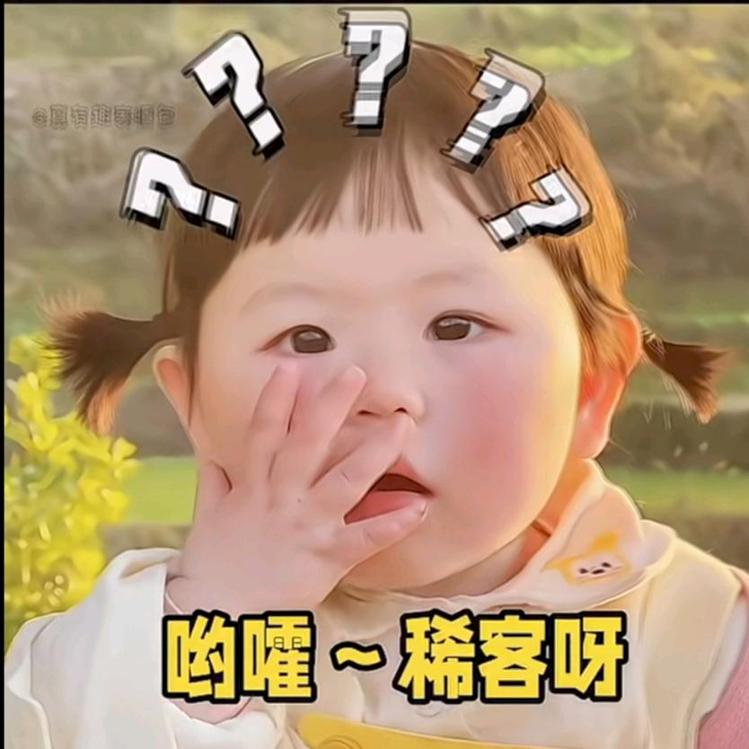 一见倾心