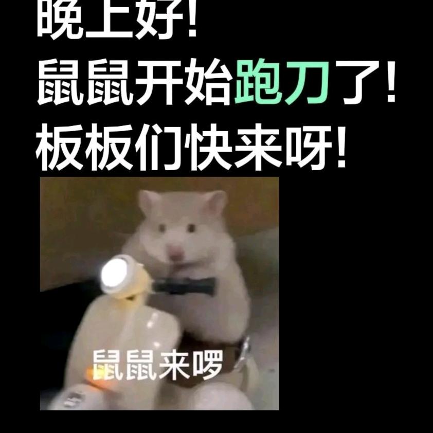 普坝鼠王