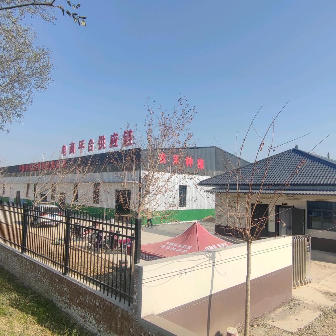 乾州小归菜籽油