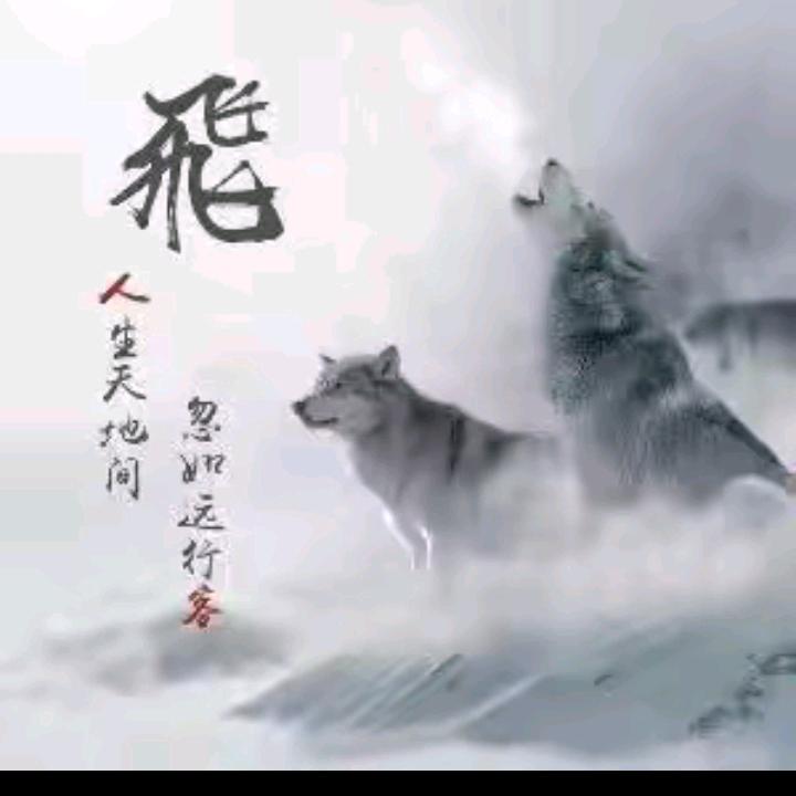 彬少(前程似锦)