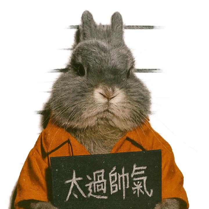 情绪逃跑计划-𝑨𝑴𝑮