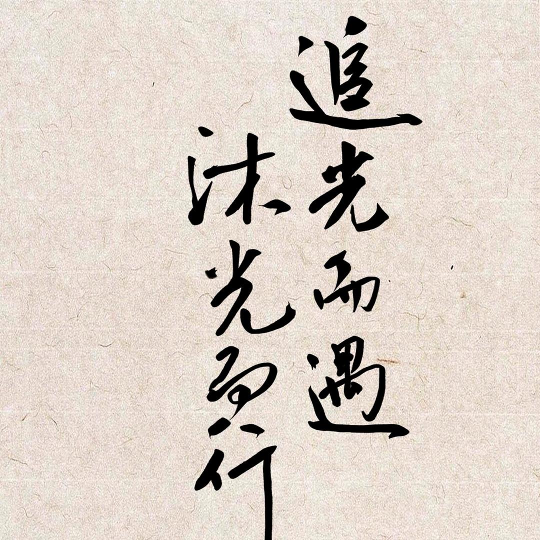 与光同行