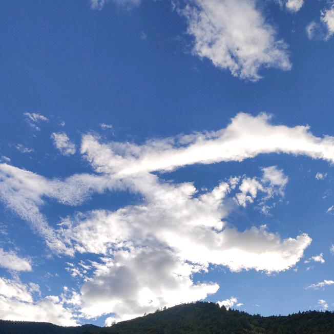 🥀ℒᎭℯ杨ꦿ҉᭄࿚ནོ⁵²⁰