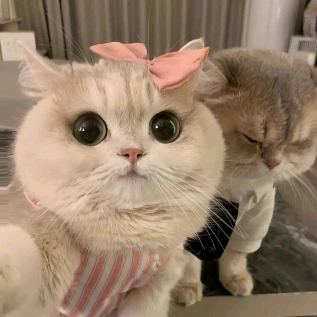 千禧佑蕊