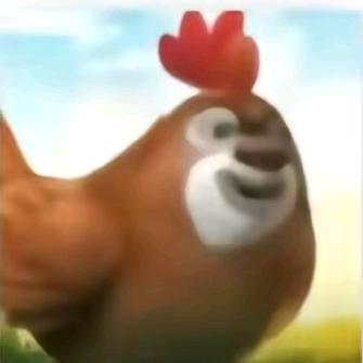 吕zn O
