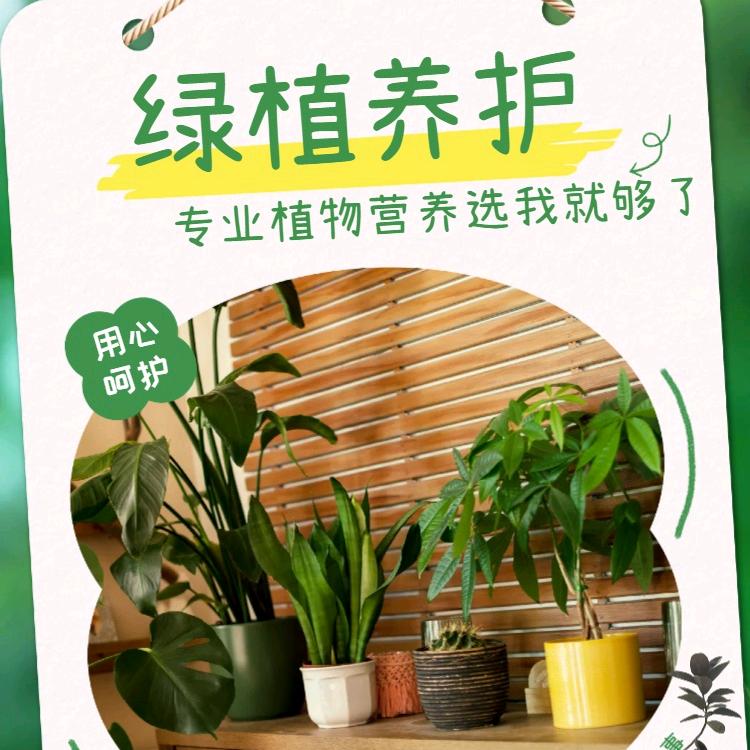 家庭园艺养护专家