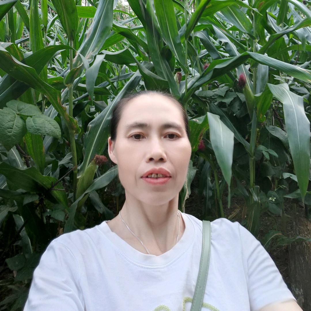 王莲
