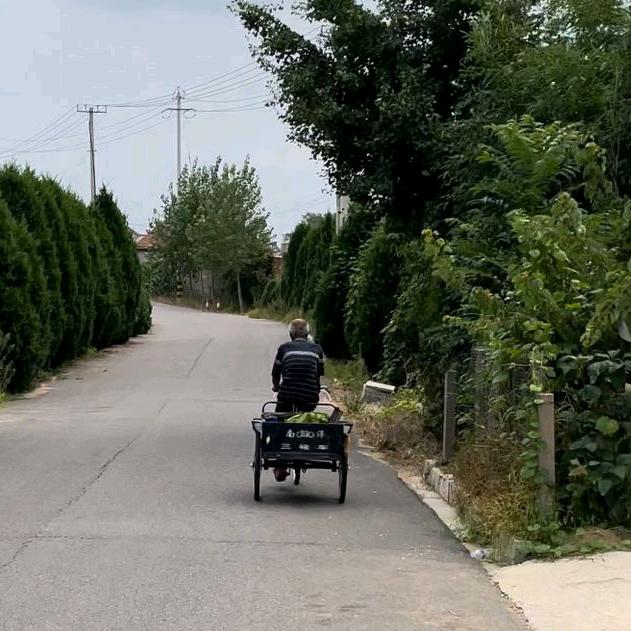 二大爷和侄女婿