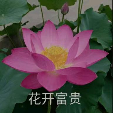 伤心的回忆