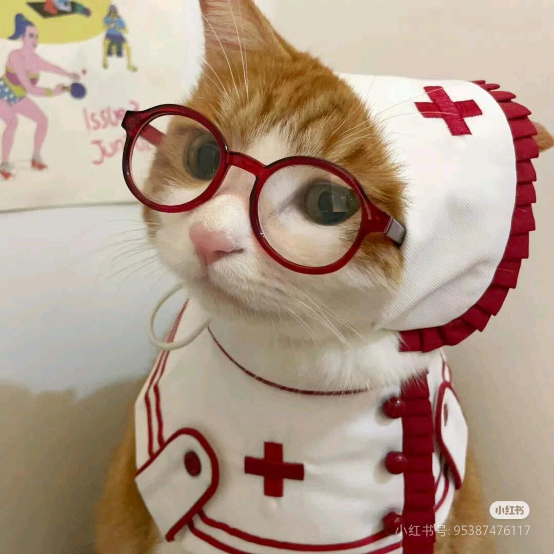 ᨶ႒ᩚ🥖•͈̑ ᴥ •͈̑🌭