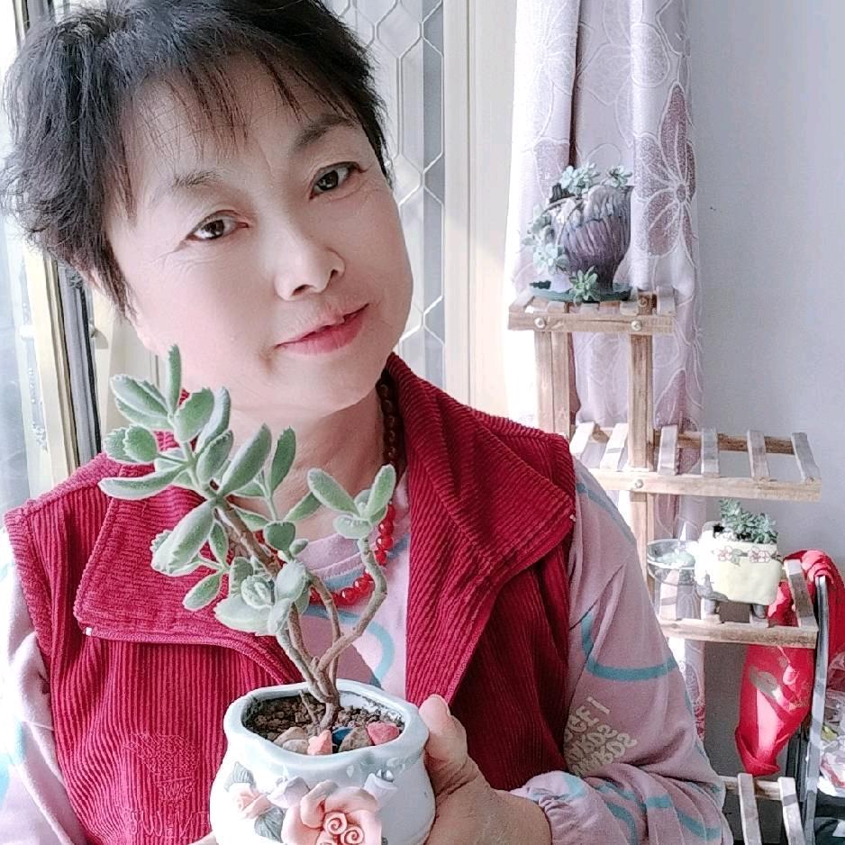 爱有梅有头像