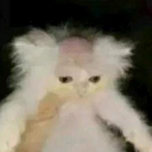 人