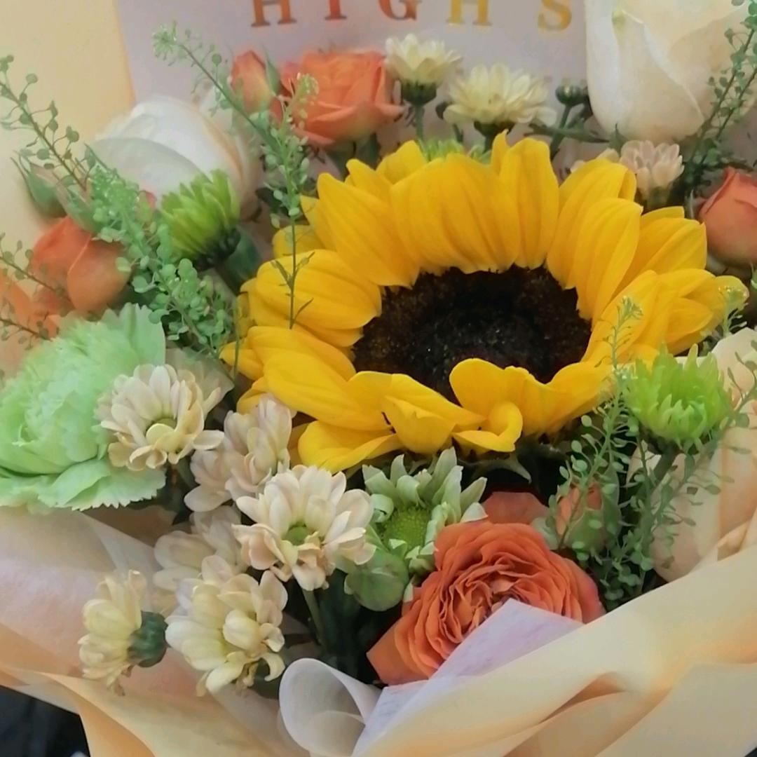 靠谁不如靠自己