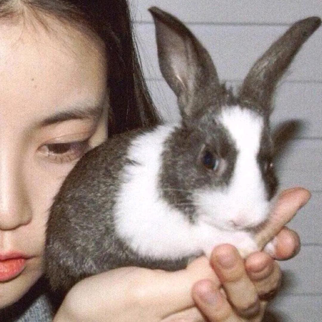 💗徐静安宁夜，້໌ᮩ💞卢晚清风吹༽ꦿ