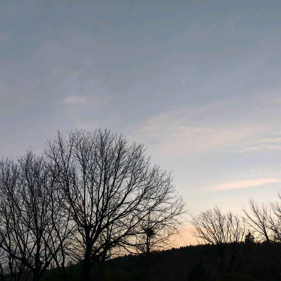 暖夏