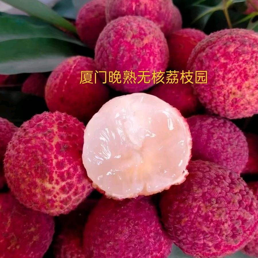 厦门市二农~淑进~果场