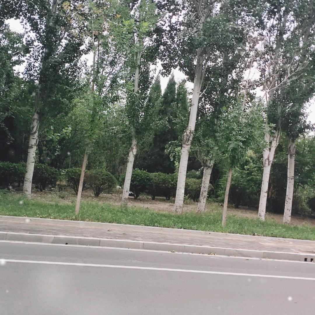 ☁️故乡云