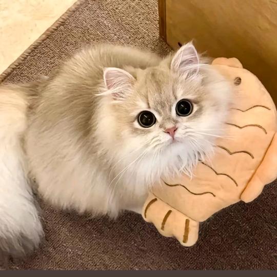 小七月🕸️💗