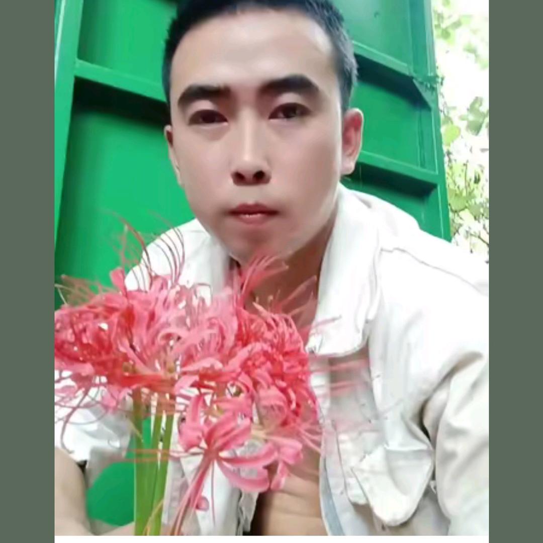 ღ独守࿆一心᭄