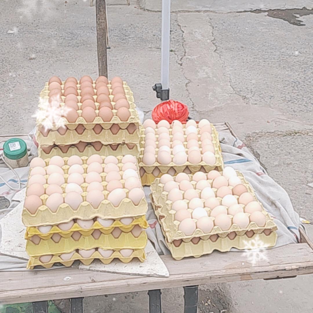 毕贞日杂店