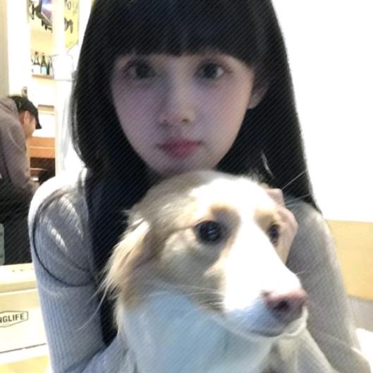悲伤玉米粑.