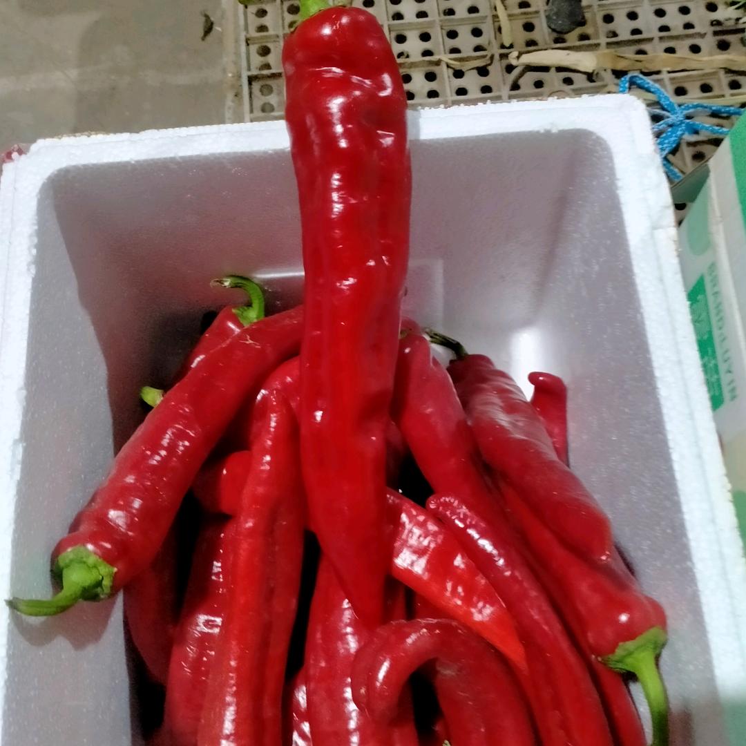 好人一平安