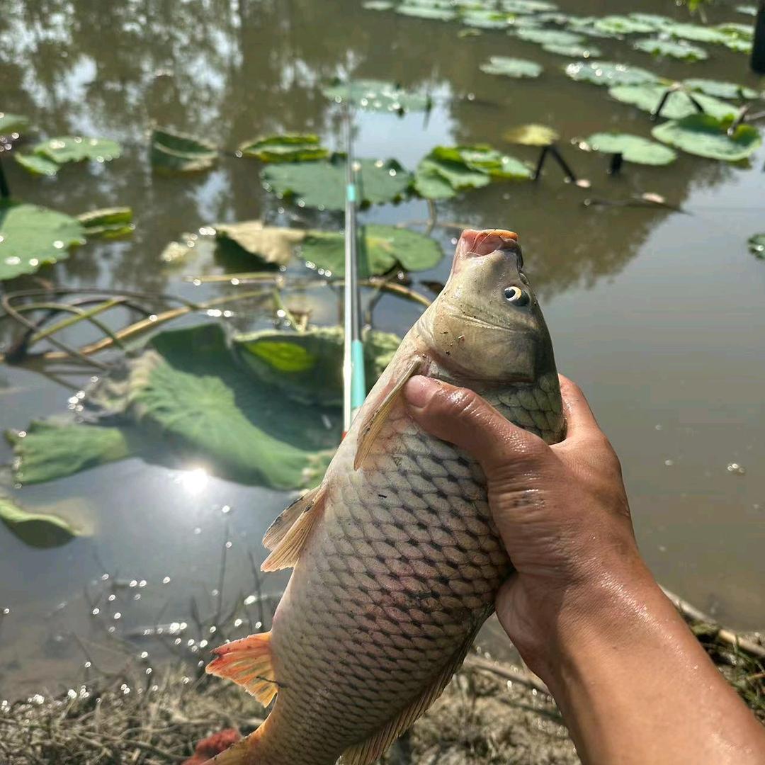 🌈🌈🌈🌈九两栗子