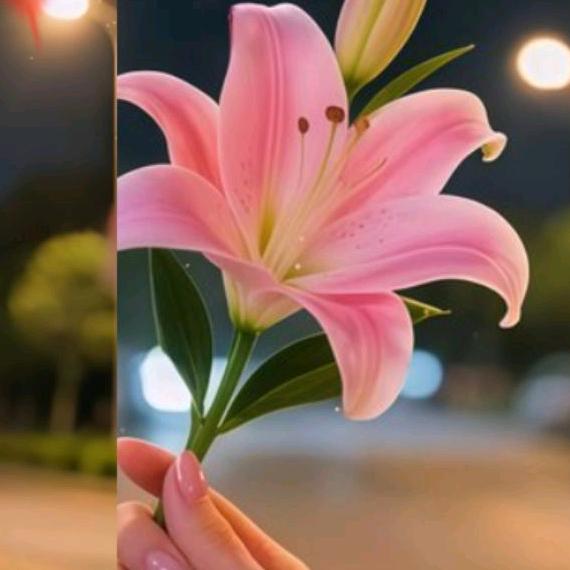 好人一生平安🌺☘🌺