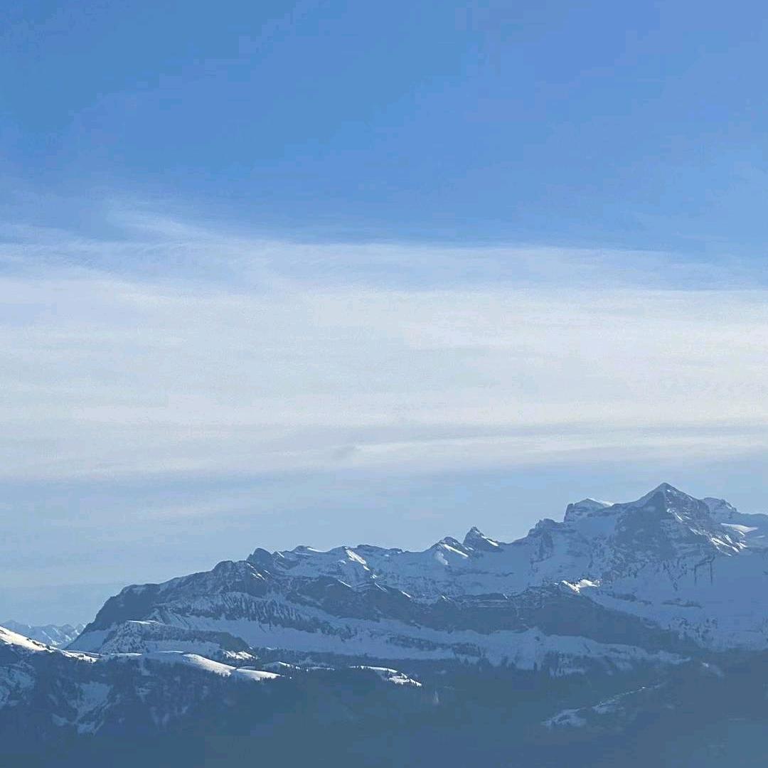 🐉❤️💜🆚随意🐈