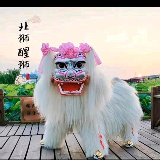 新郑网红小白狮舞狮团队