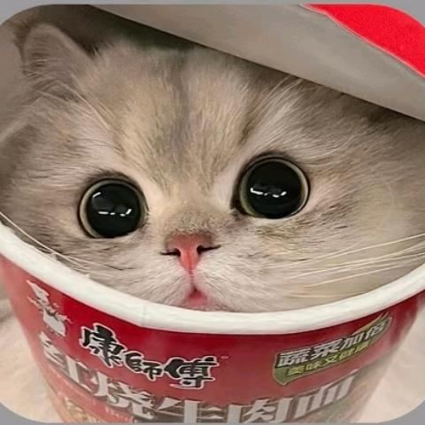 蜘蛛