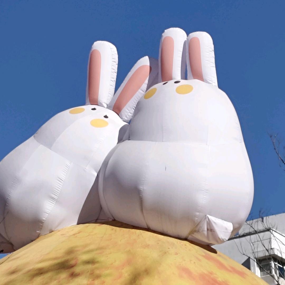 用户4694108543677