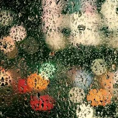 🐮清风徐来🦋🐂