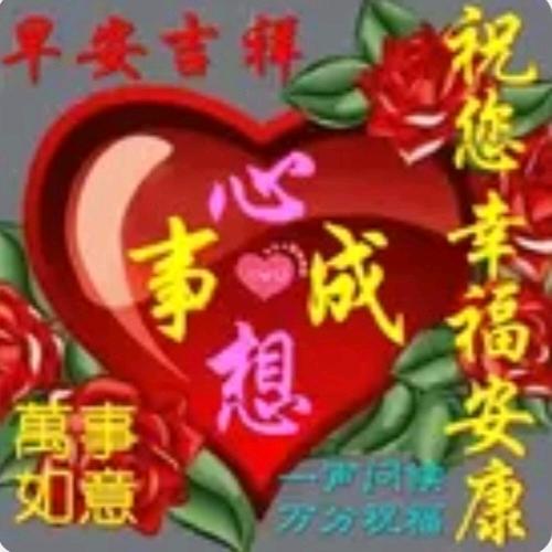 我的猫咪叫狗子