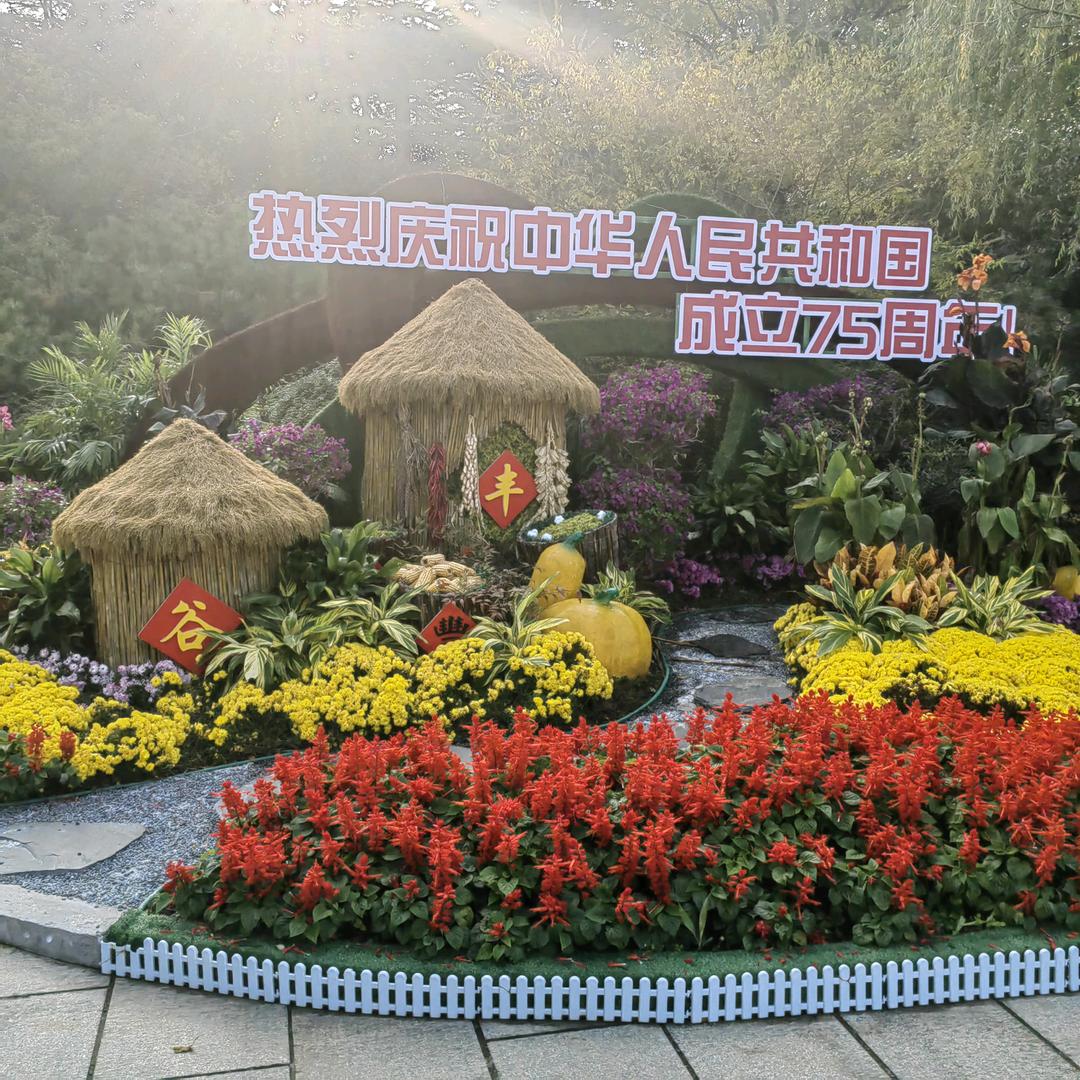 努力生活更美好