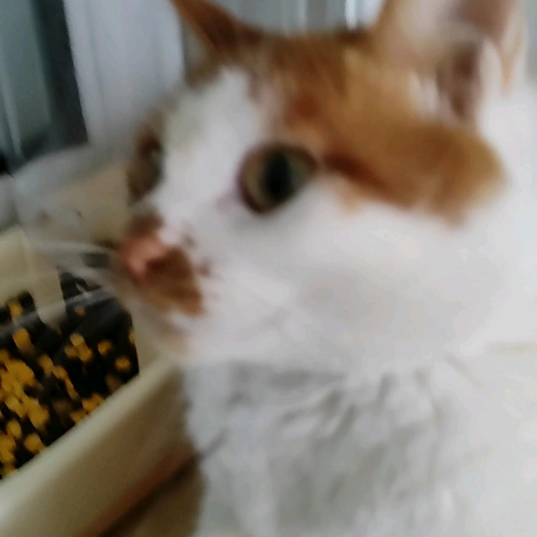 法师领地地区小心点。