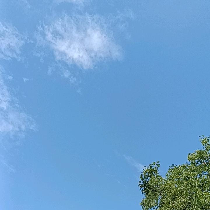 珊珊何以解忧