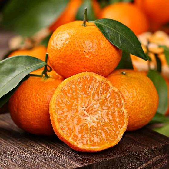 小嫩桂林砂糖橘