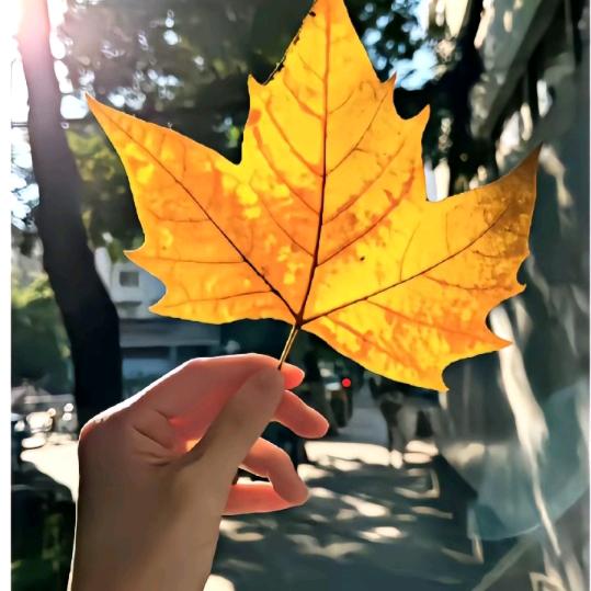 ღ᭄ꦿ随遇💞而安꧔ꦿ᭄