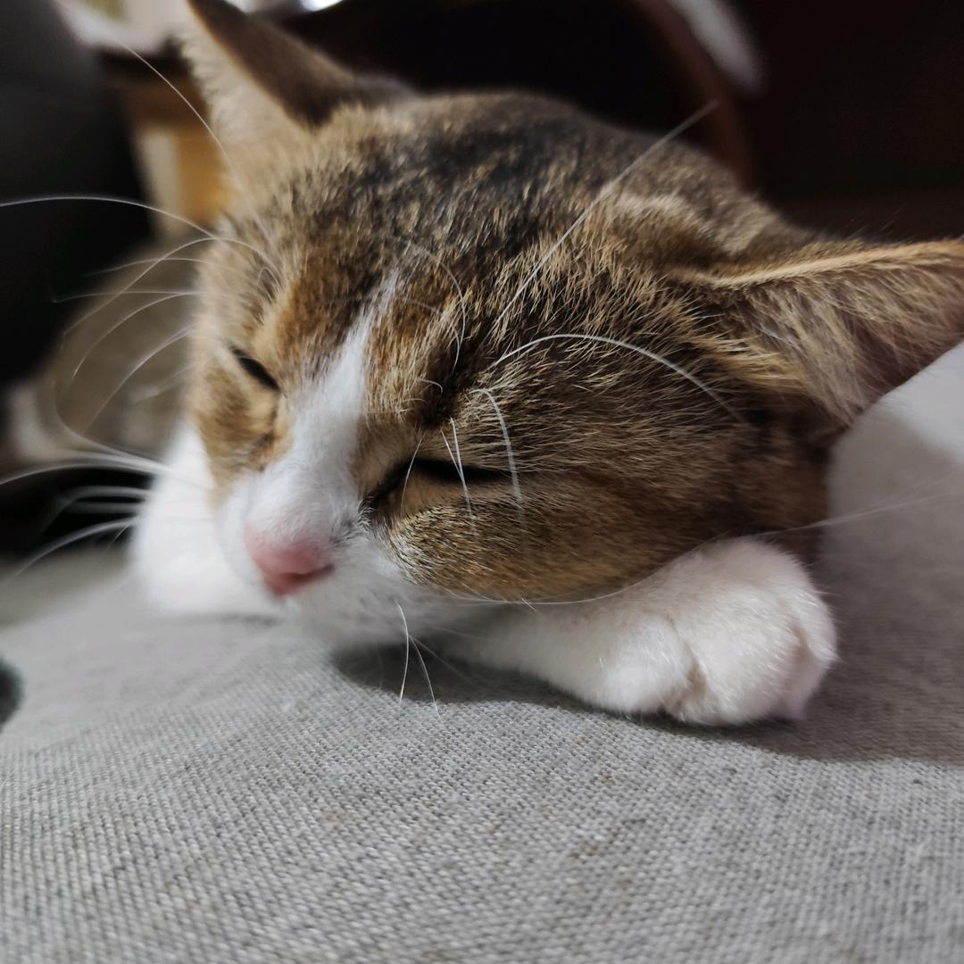 柠檬酸