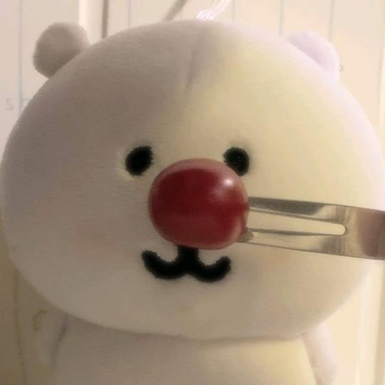 荔枝龙井茶