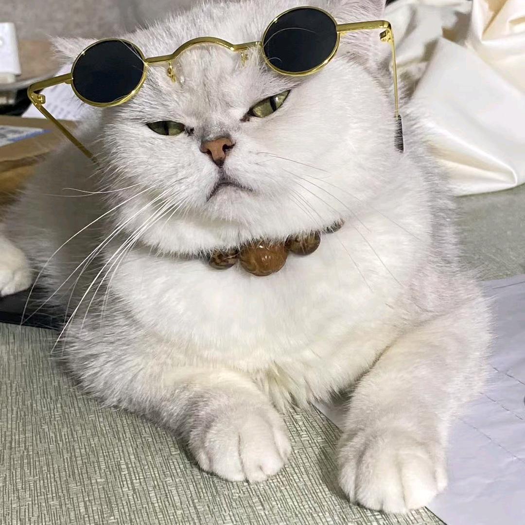 忆湘情