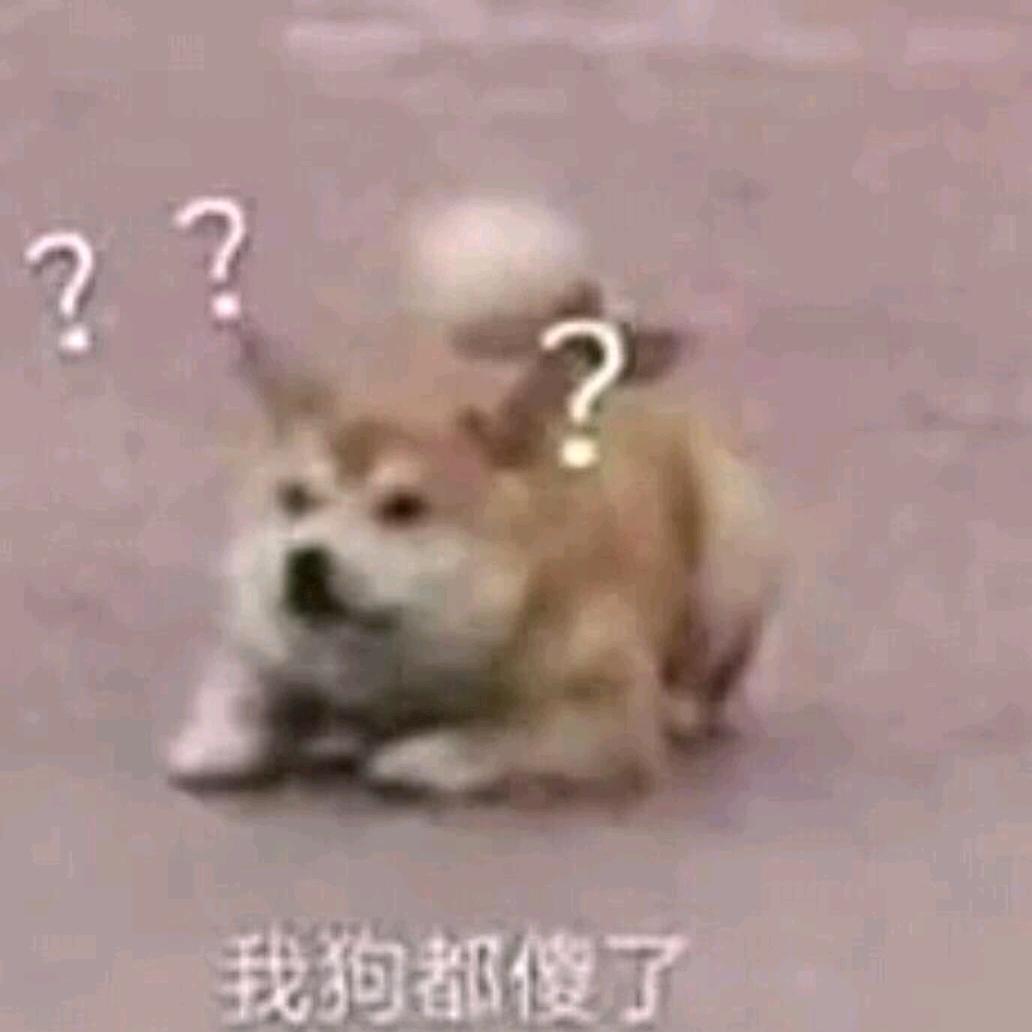 今晚打母驴
