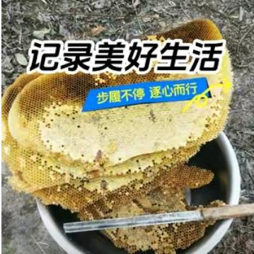 农村人养土蜂