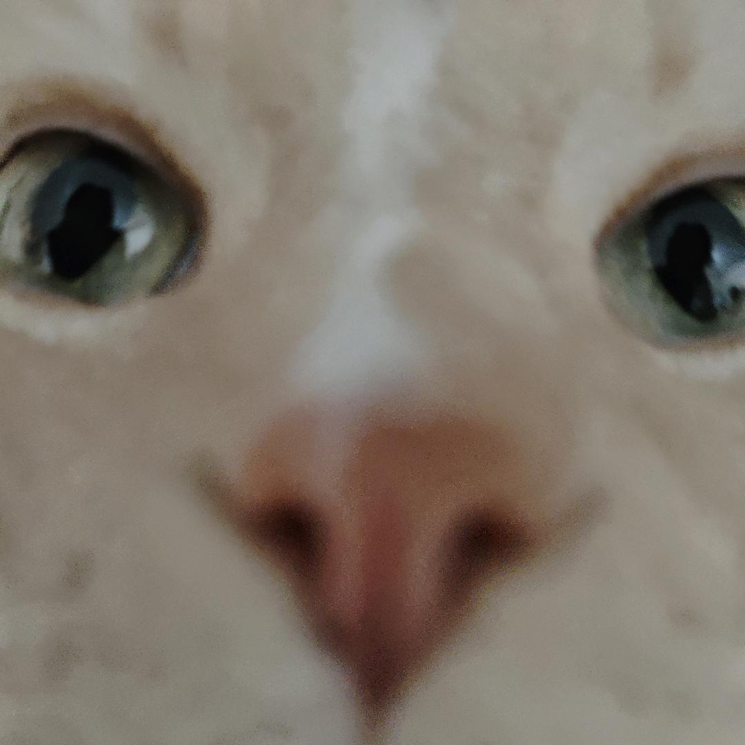 开开kaikai