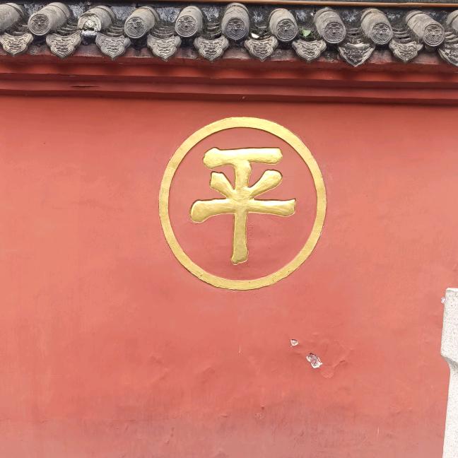 一粿想飞的米