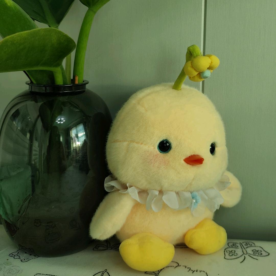 胖娃娃的小铺子