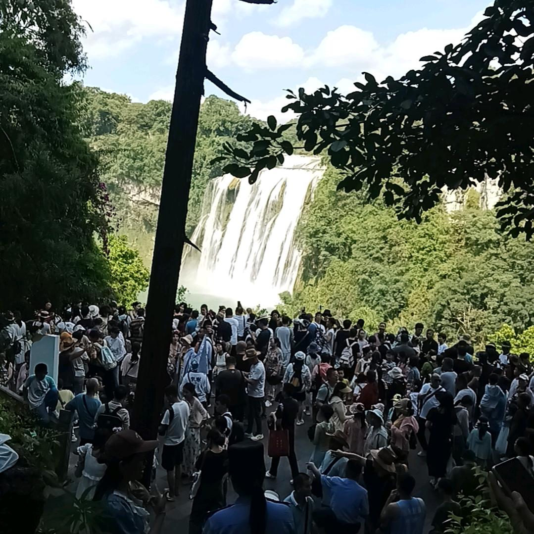 王华