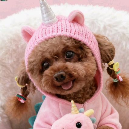 我嘞个豆🐶💋