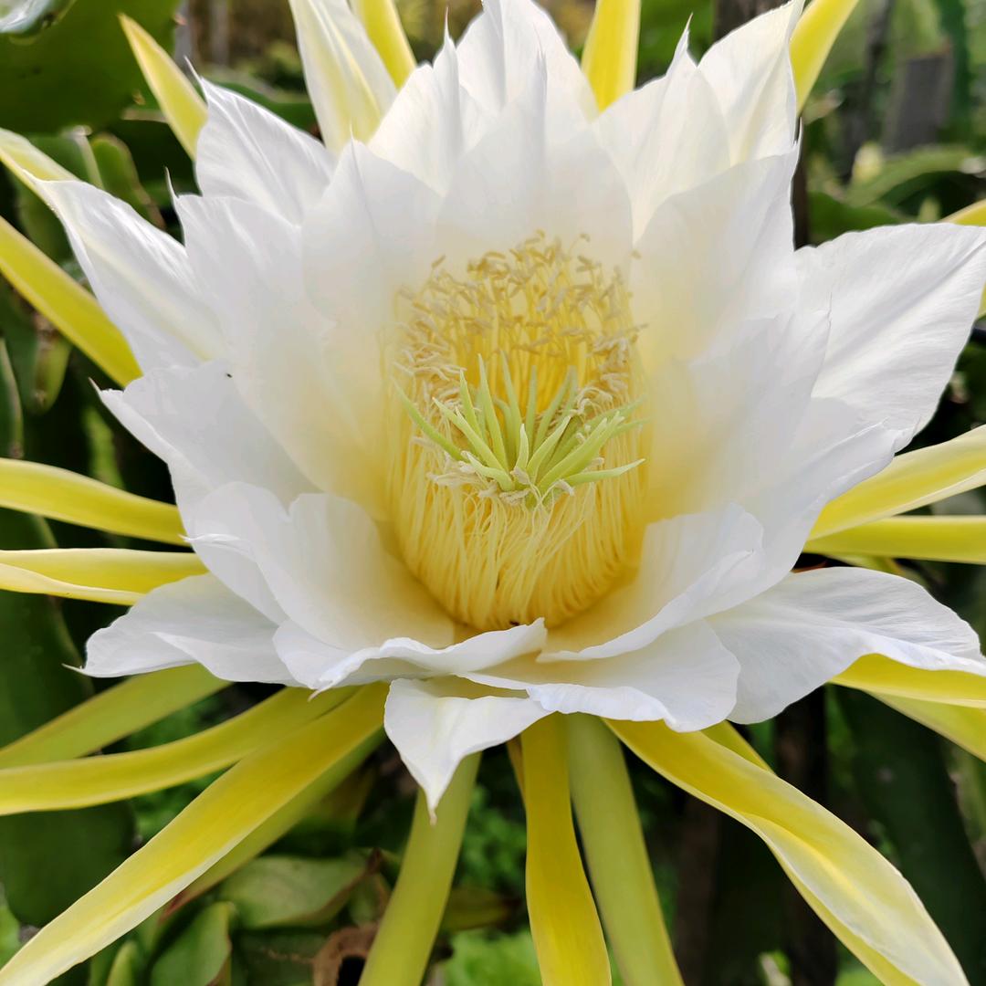 单身妈妈2178567543